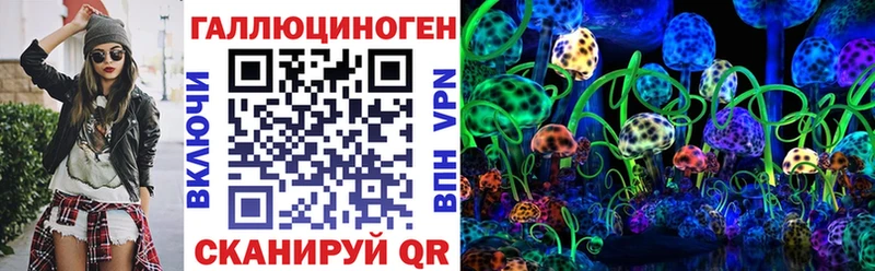 Галлюциногенные грибы Psilocybe  Нарткала 