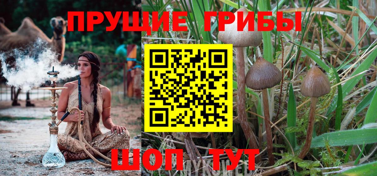 Галлюциногенные грибы мицелий  Вход с VPN  Нарткала 