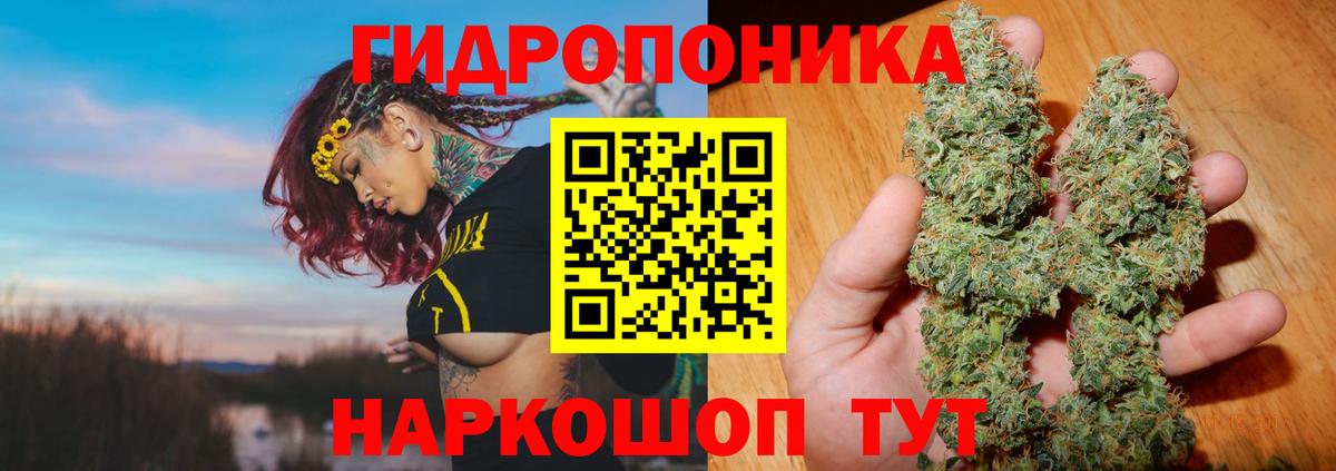 Каннабис SATIVA & INDICA  МАРИХУАНА тримм  Вход с VPN  Конопля White Widow  Нарткала 
